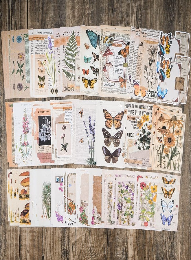 Knaid Vintage Scrapbook Sticker Paper Pack (200Ã‚ Pieces)Ã‚ forÃ‚ ArtÃ‚ Journaling BulletÃ‚ JunkÃ‚ JournalÃ‚ Supplies Planners NotebookÃ‚ DIY CraftÃ‚ KitsÃ‚ CollageÃ‚ AlbumÃ‚ AestheticÃ‚ CottagecoreÃ‚ PictureÃ‚ Frames (Nature) botanical - Image 4